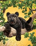 クロヒョウ ハンドパペットの画像