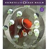 secrets of the ocean realm
