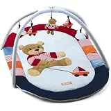 Sterntaler Discovery Gym Berti Bear