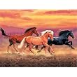 Running Free Jigsaw Puzzle by FX Schmid - 500 pc