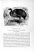 NATURAL HISTORY 1895 PTARMIGAN GAME BIRDS GUINEA FOWL