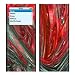 Ruby Abstract Design Decal Skin Sticker for Apple iPod nano 2G (2nd Generation) 2GB/ 4GB/ 8GB Player