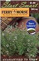 Ferry-Morse Seeds 2028 Thyme 300 Milligram Packet