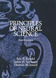 Principles of Neural Science
