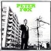 Zweite Gesicht lyrics Peter Fox