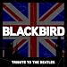 The Beatles  Blackbird