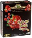 Natural Choice Foods Organic Frozen Pomegranate Berry Fruit Bars, 6-Count, 16.5-Ounce Boxes (Pack of 3)