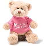 Gund I'm The Big Sister Message 12" Bear Plush