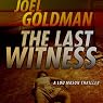 The Last Witness: Lou Mason Series, Book 2