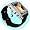 Mens Metallic Watch MP4 Player 2GB - 1.5inch OLED Screen