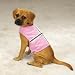 Pet Supplies : PINK - SMALL - Mesh Walking Harnesses