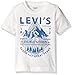 Levi's Boys' Big Jersey Graphic Tee
