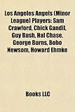 Los Angeles Angels (Minor League) Players: Sam Crawford, Chick Gandil, Guy Bush, Hal Chase, George Burns, Bobo Newsom, Howard Ehmke-