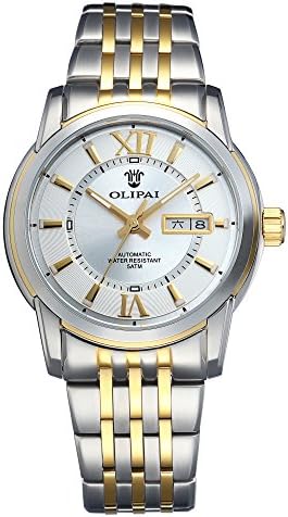 OLIPAI Men's Mechanical Wrist Watches Dress With 316L Steel Band &amp; Day