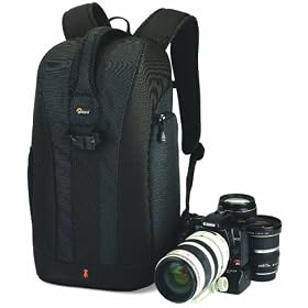 Lowepro Flipside 300 Backpack (Black)