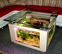 Coffee table aquarium