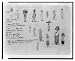 Historic Print (L): [Negro portraits, 16 small drawings with notations]