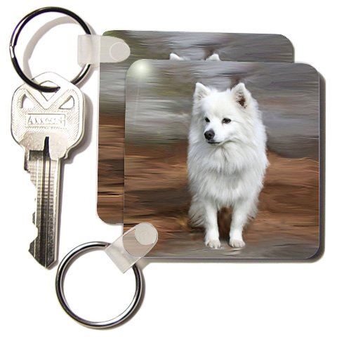 American Eskimo Toy Dog - Set Of 4 Key Chains