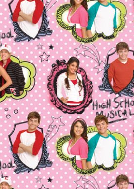 Childrens Toyshop  Kitchen & Housewares : High School Musical Gift Wrap & Tags Pack (2 of each)