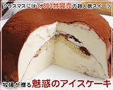 アイスケーキ アイスケーキ　ティラミス
