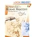 The Artist's Guide to Human Anatomy (Dover Anatomy for Artists)
