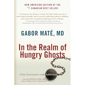 In the Realm of Hungry Ghosts: Close Encounters with Addiction