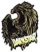Darkstar Eagle Skateboard Sticker - skateboarding skate board sk8 skating
