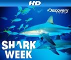 play video on Amazon Prime