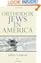 Orthodox Jews in America (The Modern Jewish Experience)