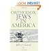 Orthodox Jews in America (The Modern Jewish Experience)