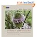Borreliose nat�rlich heilen - H�rbuch