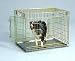 Pet Product 204-2D Dog Crate - Gold 2 Door - Small