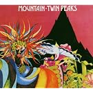 Twin Peaks