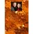 Attention, Sensory Processing, & the Social Challenges of Gifted Children