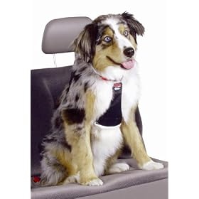 Easy Rider Car Large Harness for Dogs