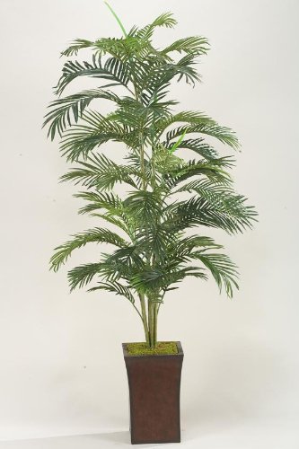 Areca Palm In Flared Planter, 6.5'H, GREEN