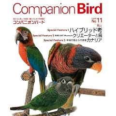 Companion Bird No.11 (2009)�\�������Ɗy�������K�ɕ�炷���߂̏�� (SEIBUNDO Mook)