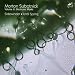 Classical Music : Morton Subotnick: Sidewinder; Until Spring
