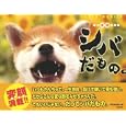 シバだもの。<br>森田 米雄写真　 <br>1890円<br>ISBN:9784809409943　
