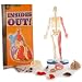 Smart Lab Squishy Human Body Anatomy Science Kit