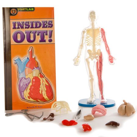SmartLab Squishy Human Body Anatomy Science Kit