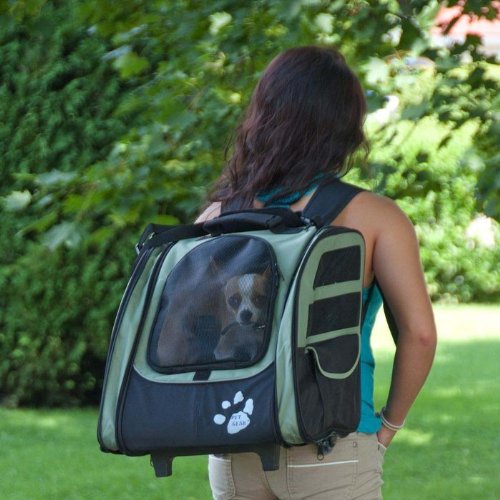 Pet Gear I-GO2 Traveler Roller Backpack for cats and dogs up to 20-pounds - Sage