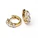 0.25 Carat 14KYG Diamond Hoop Earrings
