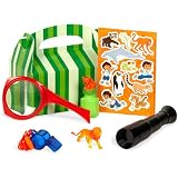 Go, Diego Go! Party Favor Box Party Supplies