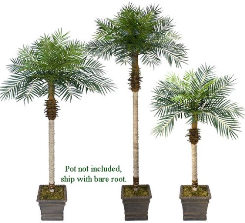 THREE Date Phoenix Artificial Tropical Palm Trees: 8.5′ + 7′ + 5.5′