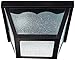 Acclaim 4901BK Builder's Choice Collection 1-Light Ceiling Mount Outdoor Light Fixture, Matte Black
