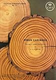 Pinus caribaea