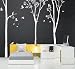 Made in US - Free Custom Color - Free Squeegee -3 colors-Three Big Birch Trees- Wall Decals Stickers Murals Vinyl Wall Art