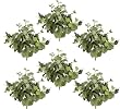 Six 21" Frosted Artificial Grape Bushes with Grapes