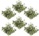 Six 21" Frosted Artificial Grape Bushes with Grapes